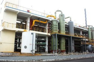 數(shù)字化轉(zhuǎn)型的引擎 寧波石化經(jīng)濟(jì)技術(shù)開(kāi)發(fā)區(qū)網(wǎng)絡(luò)技術(shù)服務(wù)企業(yè)走訪實(shí)錄